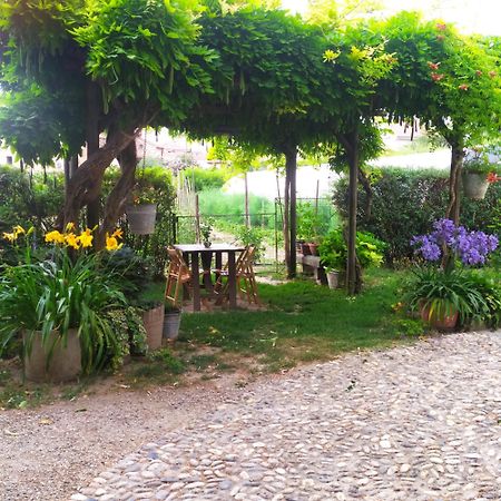Il Germano Reale Bed and Breakfast Άλμπα Εξωτερικό φωτογραφία