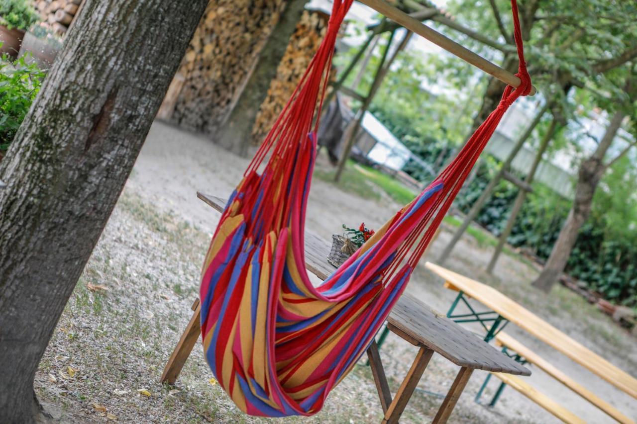 Il Germano Reale Bed and Breakfast Άλμπα Εξωτερικό φωτογραφία