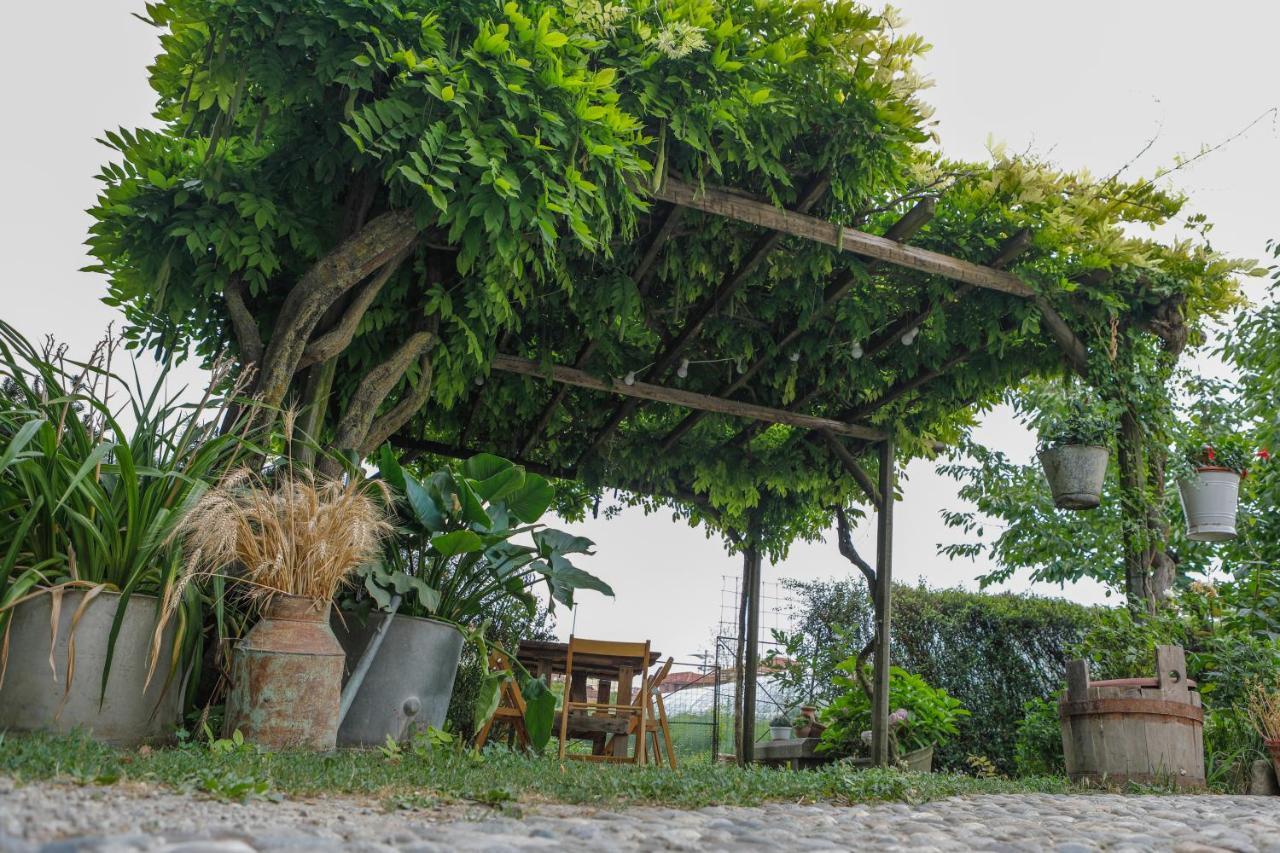 Il Germano Reale Bed and Breakfast Άλμπα Εξωτερικό φωτογραφία