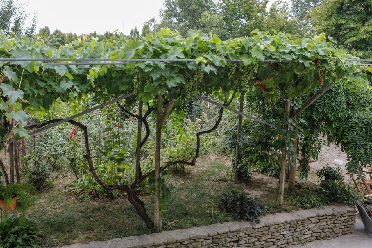 Il Germano Reale Bed and Breakfast Άλμπα Εξωτερικό φωτογραφία