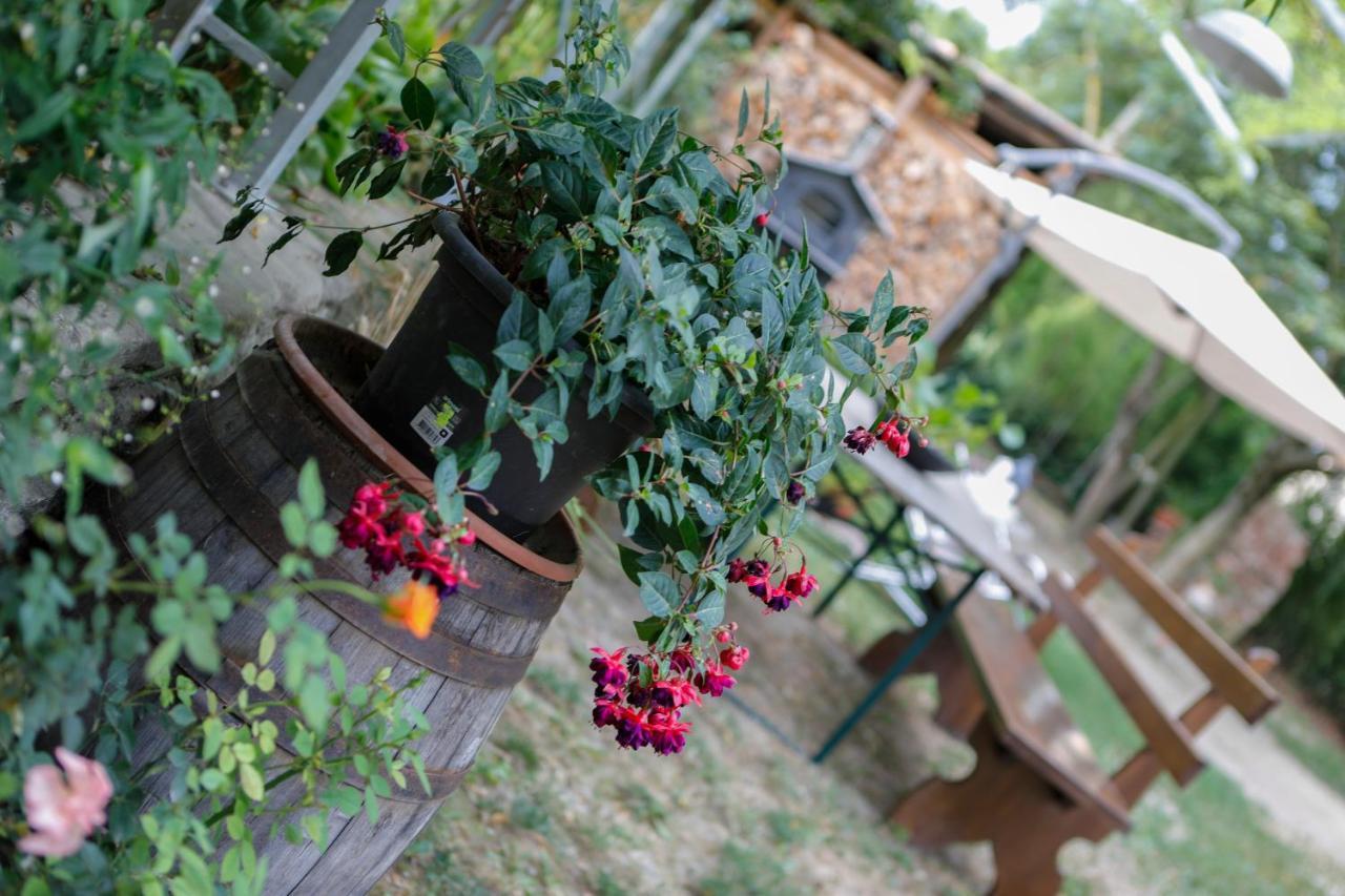 Il Germano Reale Bed and Breakfast Άλμπα Εξωτερικό φωτογραφία